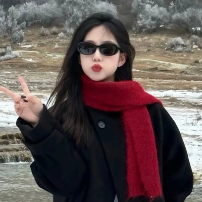 无声的证言第二十六季 在线观看